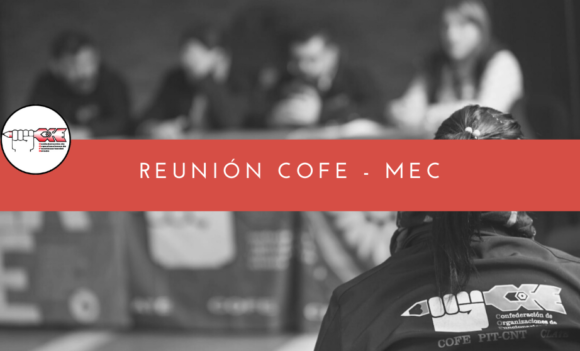 Reunión COFE-MEC